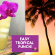 easy tropical punch